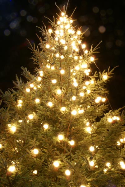 Juletræ med lys - billede til julesange